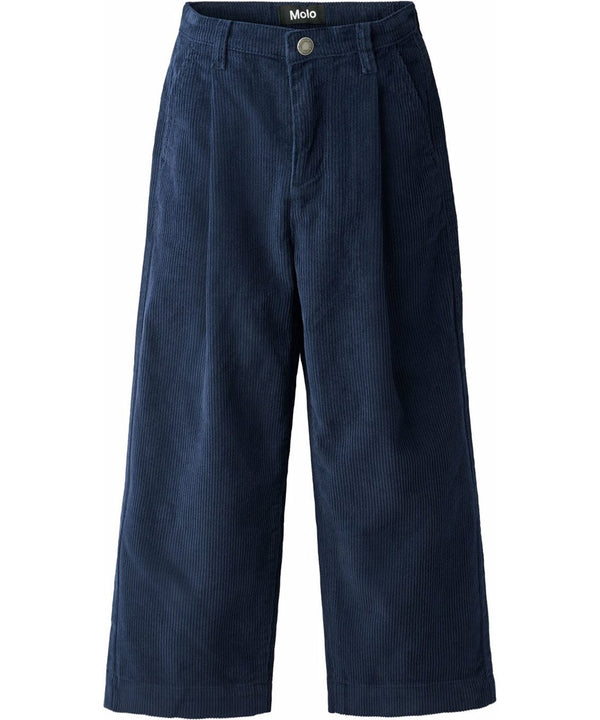 Pantalone velluto blu