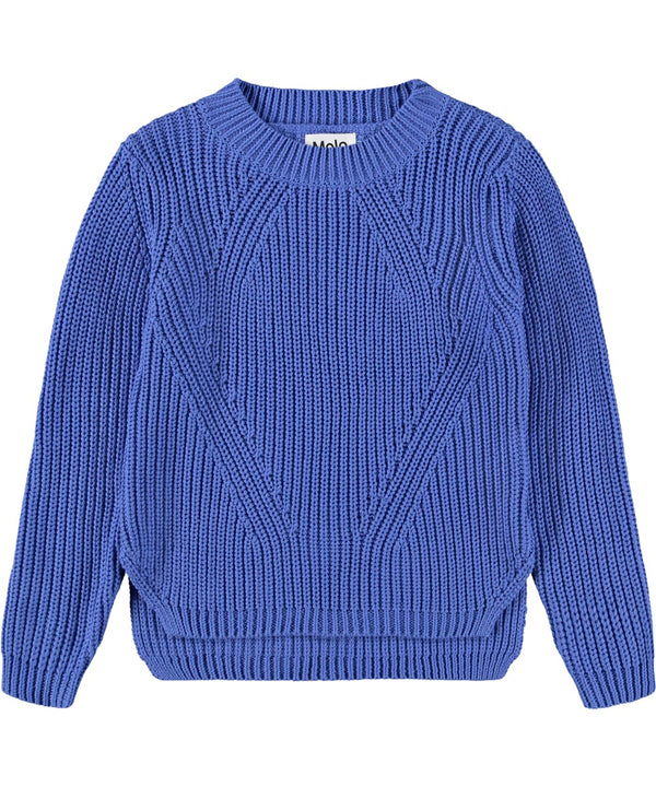 Maglione violet blue