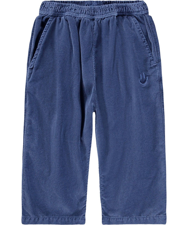 Pantalone blu in velluto