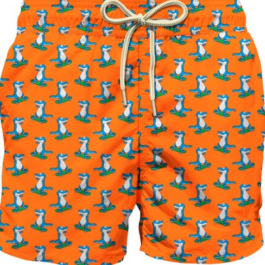 Costume da bagno con stampa dinosauro