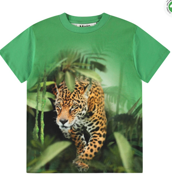 T-shirt verde in morbido cotone biologico con maniche corte e scollo a costine